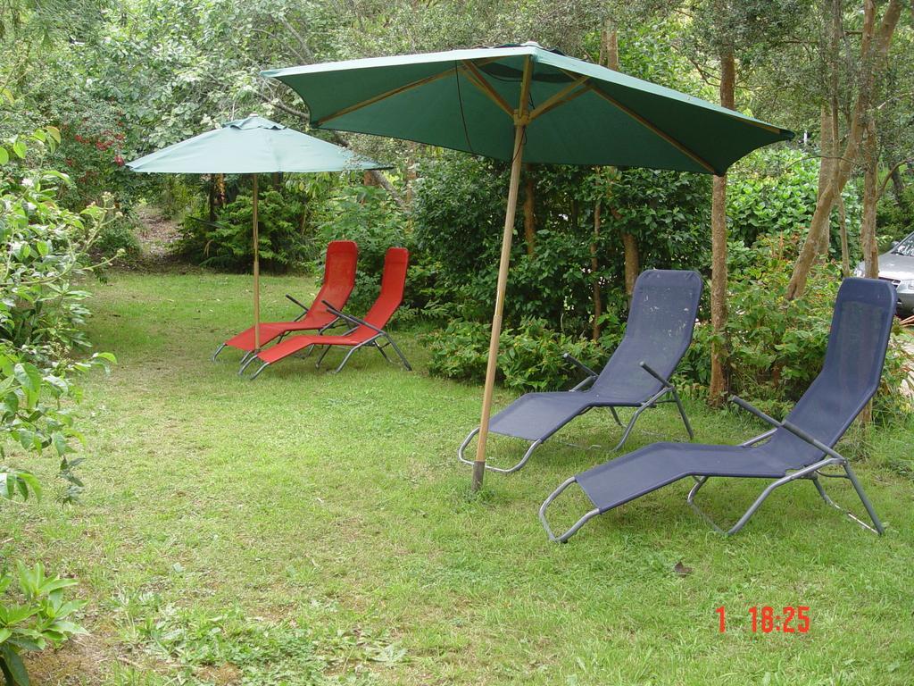 Cabañas el Bosque Patagónico Frutillar Habitación foto