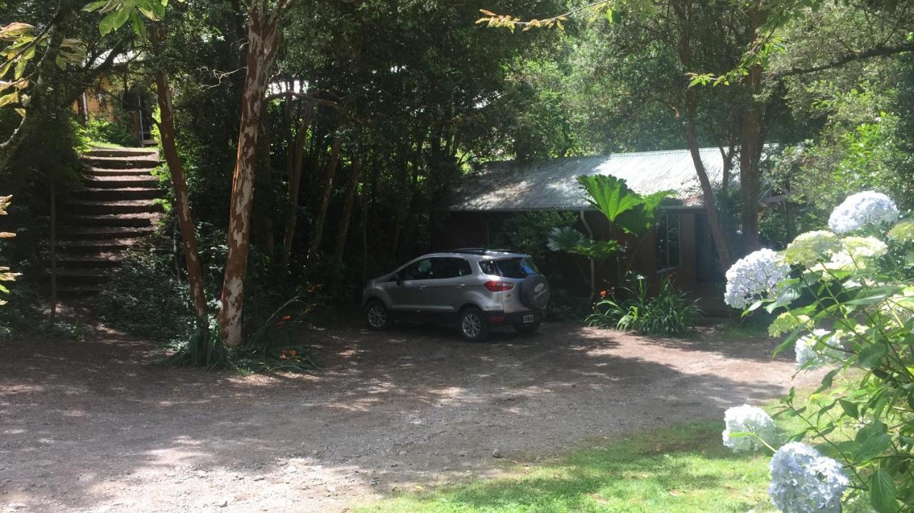 Cabañas el Bosque Patagónico Frutillar Exterior foto